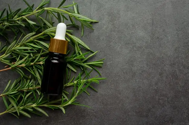 Benefits of Eucalyptus Oil and Its Uses
